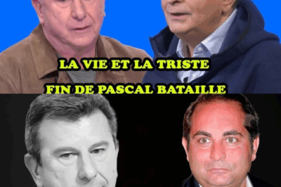 Après la fermeture de C8, Pascal Bataille et Laurent Fontaine suivent Cyril Hanouna sur W9 et provoquent des tensions