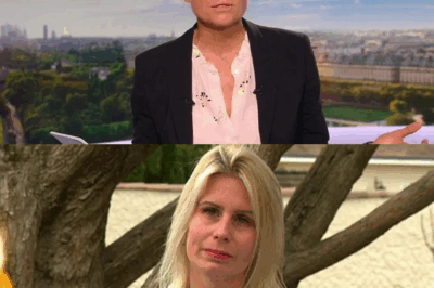 Anne-Sophie Lapix “en roue libre” sur France 2 après l’annonce de son départ du JT de 20h, les internautes amusés