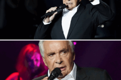 Paalam, Michel Sardou: Isang Emosyonal na Pagwawakas sa 50 Taong Musika at Alaala