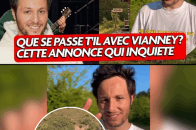 LE PLUS CHAUD EN CE MOMENT : Vianney annonce faire une pause dans sa carrière pour construire une cabane dans la forêt
