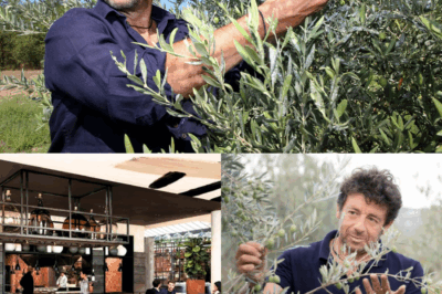 Patrick Bruel abandonne les projecteurs pour un rêve secret : il bâtit un palais 5 étoiles au cœur de la Provence, dans le village le plus mystérieux du Vaucluse !