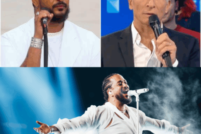 Slimane : taclé par Nagui, il lui répond et lui dédie une chanson en plein concert