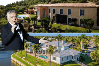 Michel Sardou : Découvrez sa somptueuse villa à Bormes-les-Mimosas… Un véritable paradis caché !