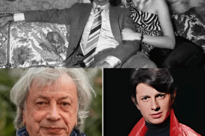 🕊️ Hervé Vilard, à 78 ans, brise ENFIN le silence : une révélation inattendue qui bouleverse ses fans 💬 👉 Ce que le chanteur emblématique a confié laisse sans voix… Et toi, t’y attendais-tu ? Partage ton ressenti en commentaire 👇