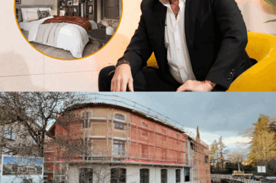 Patrick Bruel choque la France entière : il transforme un village paisible du Vaucluse en palace luxueux digne des plus grandes stars hollywoodiennes !