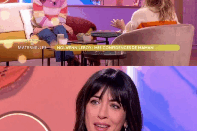 Maternité tardive : Nolwenn Leroy face aux questions …..