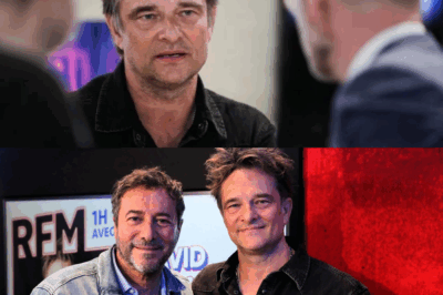 David Hallyday fait son retour sur nos écrans : “Une histoire de fou…”