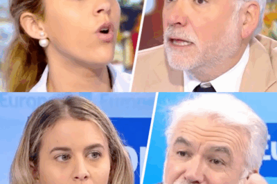 “Vous dites n’importe quoi !” : échange tendu entre Sarah Saldmann et Pascal Praud sur le chômage|chon