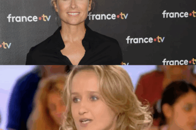 Évincée du JT de France 2, Anne-Sophie Lapix pourrait-elle arriver sur TF1 ? Cette petite phrase lapidaire…