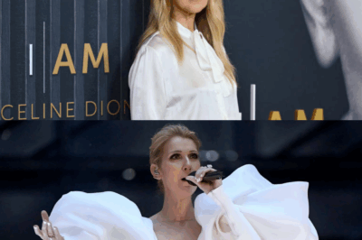 Céline Dion très loin de l’Eurovision : on sait enfin la triste raison pour laquelle elle n’a pas pu se rendre en Suisse