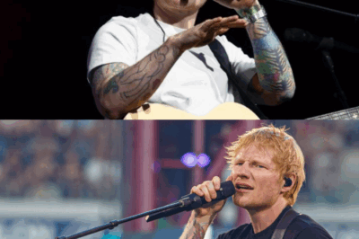 Après Soprano et avant Polnareff, c’est Ed Sheeran qui investit le stade Pierre-Mauroy pour deux soirs consécutifs, qui n’affichent pas tout à fait complet.