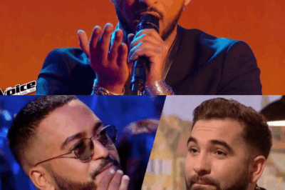 Face à cette trahison, Slimane se désolidarise de Kendji Girac : “Oublie la…”|chon