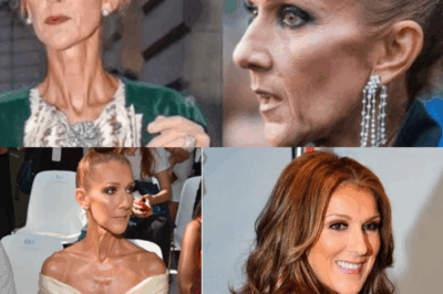 LE PLUS CHAUD EN CE MOMENT : Gravement malade, le fils de Céline Dion vient de recevoir une bien triste nouvelle|CHON