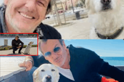 “Adieu Donna“ : Jean-Luc Reichmann effondré, il annonce que sa chienne est morte à cause d’un drame sur le tournage des Douze Coups… Voir le 1er commentaire