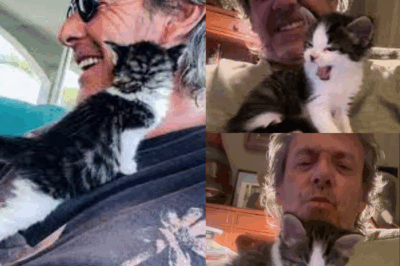 💫 « Ziggy est un cadeau tombé du ciel » : les mots bouleversants de Jean-Luc Reichmann pour son chat, devenu bien plus qu’un simple compagnon… Cliquez sur le lien pour tout voir !
