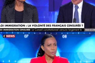 Christine Kelly bat un nouveau record d’audience, CNews devient la chaîne d’information la plus regardée en France, les autres chaînes accusées de… Voir le 1er commentaire😱👇