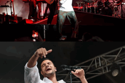 Panique en plein concert : Amir visé par un geste inquiétant en pleine scène – le spectacle brutalement interrompu, le public sous le choc, la sécurité débordée ! Que s’est-il vraiment passé ?