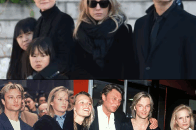 Johnny Hallyday : son avocat explique les véritables raisons du renoncement de David Hallyday à l’héritage