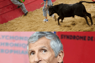 🐮💥 “Manipulation !” : Nagui explose en direct contre le lobby des villes en colère – il révèle la vraie raison de l’absence des vaches à “Intervilles”