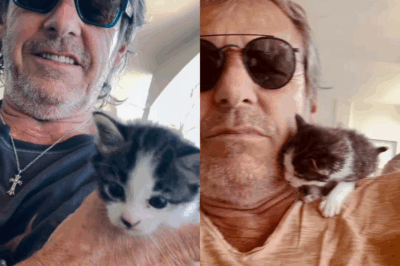Ziggy, chat miraculeux ou ange gardien ? La bouleversante confession de Jean-Luc Reichmann sur son compagnon à quatre pattes qui a changé sa vie à jamais