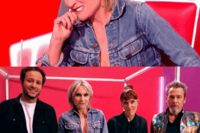 The Voice secouée : après le départ surprise de Vianney, Patricia Kaas quitte aussi l’aventure ? TF1 officialise un jury inédit qui divise déjà les fans !