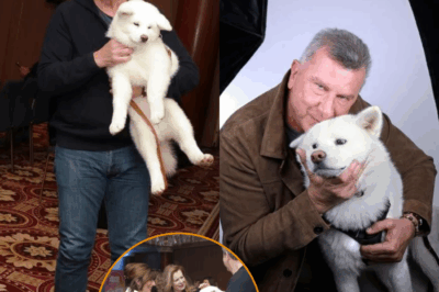 “Pas question qu’on la touche !” : Pascal Bataille provoque l’étonnement en rejetant l’amour pour rester fidèle… à sa chienne – Sa déclaration radicale secoue la toile