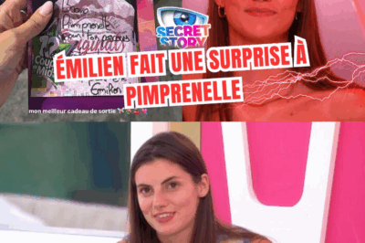 👀 Entre Pimprenelle et Émilien, le geste inattendu et troublant d’Émilien enflamme la Toile — une panique générale s’empare des fans, que se passe-t-il vraiment ?