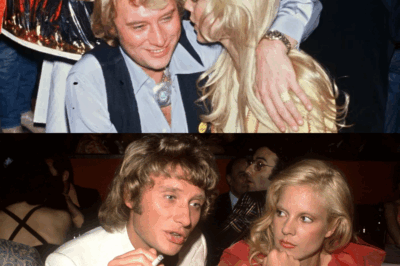 LOVE STORY – Johnny Hallyday et Sylvie Vartan : pourquoi leur relation ne ressemblait à aucune autre
