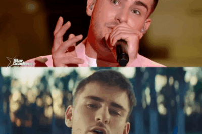 Finaliste de la saison 11 de la Star Academy, Julien Lieb, bien qu’il ait perdu face à Pierre Garnier, rencontre un succès fulgurant. Il enchaîne les titres et les confidences… en attendant l’album ?