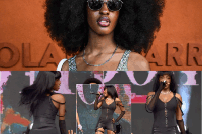 Ebony a laissé entrevoir ses f3$$e$, reçoit des critiques après son twerk aux Ardentes 2025 : « Vulgaire », « Une Beyoncé du pauvre »…