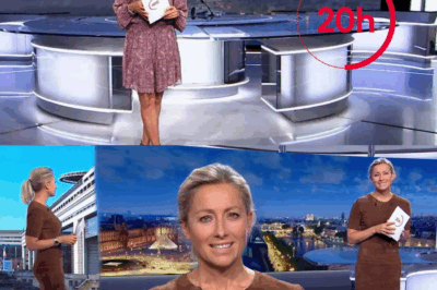 “J’y respire mieux” : après avoir tourné le dos au JT de France 2, Anne-Sophie Lapix dévoile sa maison de rêve baignée de soleil – un havre de paix loin des projecteurs.