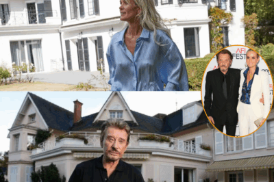 David Hallyday : après la vente de la Savannah par Laeticia, gros règlement de comptes