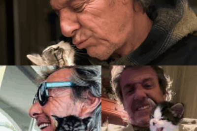 Ziggy, chat miraculeux ou ange gardien ? La bouleversante confession de Jean-Luc Reichmann sur son compagnon à quatre pattes qui a changé sa vie à jamais