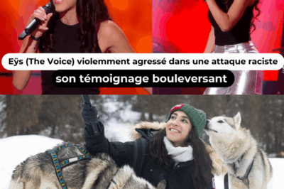 ‘Retourne dans ton pays’ : Eÿs (The Voice) fond en larmes après une attaque raciste en pleine rue — son témoignage glaçant met les réseaux en état de choc absolu !