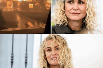 En larmes au milieu des cendres, Laeticia Hallyday supplie les Français : “Aidez-moi à reconstruire mon cocon brisé par les flammes à Los Angeles