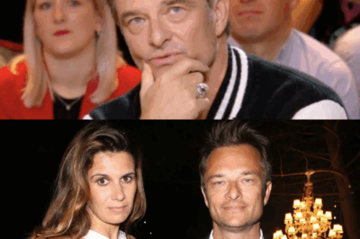 Que se passe-t-il entre David Hallyday et Alexandra Pastor ? Il a finalement pris la parole.