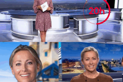 “J’y respire mieux” : après avoir tourné le dos au JT de France 2, Anne-Sophie Lapix dévoile sa maison de rêve baignée de soleil – un havre de paix loin des projecteurs.