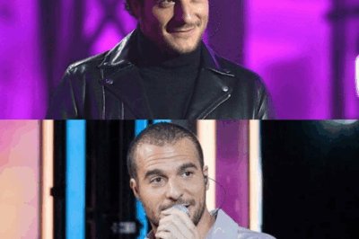 Boycotté aux Francofolies, Amir sort du silence : “Je ne connais qu’une seule réponse à la haine…” – une réaction digne et poignante qui bouleverse ses fans