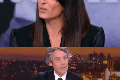 “Vous n’en avez pas marre ?” : Jenifer stupéfiée par une question de Yann Barthès (Quotidien) sur la Star Academy