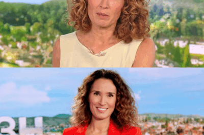 JT de TF1 : Marie-Sophie Lacarrau et Gilles Bouleau ont (beaucoup) de soucis à se faire