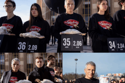 Nagui choque les passants en pleine rue : l’animateur vedette de France 2 rejoint les militants de L214 dans une action coup de poing spectaculaire contre l’élevage intensif. Devant les caméras et les badauds stupéfaits, il brandit des images insoutenables tournées dans des élevages industriels de poulets. Pourquoi cet engagement radical ? Quel message veut-il faire passer ? Entre écœurement, urgence climatique et souffrance animale, Nagui brise le silence avec courage. Une prise de position choc qui divise autant qu’elle interroge. Découvrez tout sur ce geste engagé, rare et puissamment symbolique. Cliquez sur le lien pour comprendre ce coup d’éclat.
