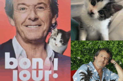 Un petit chat devient la nouvelle star secrète des 12 Coups de Midi — Jean-Luc Reichmann révèle enfin pourquoi il ne peut plus tourner une émission sans lui ! → cliquez sur le lien pour tout savoir