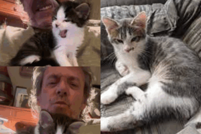 💫 « Ziggy, bien plus qu’un simple chat, un véritable cadeau dans ma vie » : Jean-Luc Reichmann se confie avec émotion sur son compagnon à quatre pattes, qui a su devenir un soutien précieux et une source d’inspiration au quotidien. Cliquez sur le lien pour découvrir cette belle histoire.