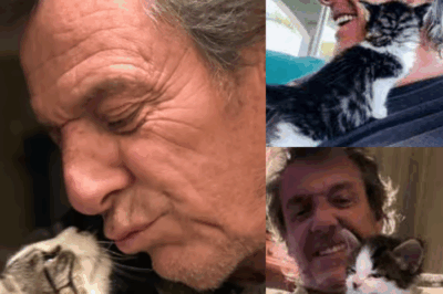 💫 « Ziggy, bien plus qu’un simple chat, un véritable cadeau dans ma vie » : Jean-Luc Reichmann se confie avec émotion sur son compagnon à quatre pattes, qui a su devenir un soutien précieux et une source d’inspiration au quotidien.