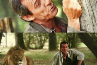Pourquoi cet acteur célèbre a décidé de dire adieu aux rôles classiques de flics ou de chirurgiens pour incarner un simple vétérinaire dans une série française unique et profondément émouvante ? Son témoignage bouleversant vous fera voir les héros du quotidien autrement… cliquez sur le lien pour tout savoir !