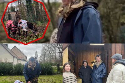 Jean-Luc Reichmann a bouleversé ses abonnés en dévoilant deux nouveaux pensionnaires sur ses terres : des ânes miniatures, aussi mignons qu’insolites. Mais pourquoi ce choix inattendu ? L’animateur emblématique aurait-il besoin de ralentir, de se reconnecter à une vie plus simple ? Entre confidences, humour et émotions, ce geste cache une transformation personnelle discrète mais profonde — cliquez sur le lien pour comprendre ce changement étonnant.