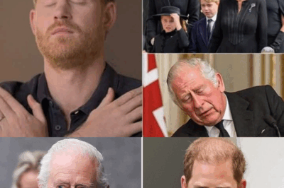15 MINUTES AGO! Palace’s announcement of King Charles’s ‘funeral’ plan sends shockwaves; Meghan and Harry granted permission to ‘open the ceremony’: The entire UK falls silent… See More Below