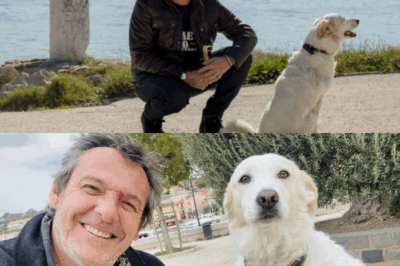 Jean-Luc Reichmann brise le silence en larmes : le destin tragique de sa chienne Donna, les secrets inavoués des plateaux, et une vérité qui choque la France entière