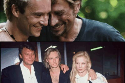 “On m’a empêché de lui dire adieu !” : David Hallyday brise un silence déchirant, révèle des secrets de famille explosifs dans un film choc qui pourrait tout faire basculer