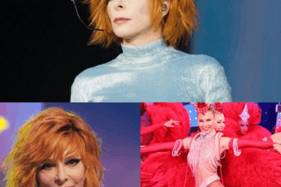 Ni Mylène Farmer ni la “Star Academy” : voici la tournée la plus populaire en France en 2024 !